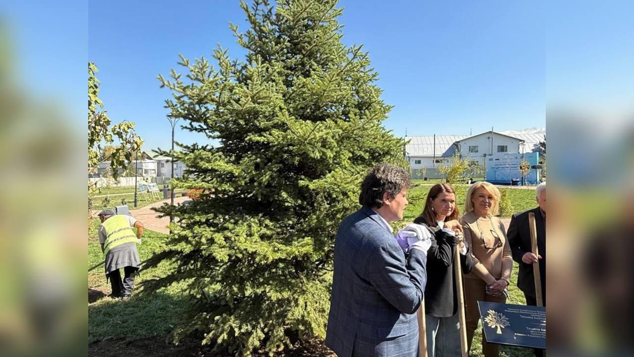 Коллеге, другу, истинному патриоту своей страны: в Алма-Ате сенаторы высадили зеленую ель в память о Татьяне Сахаровой